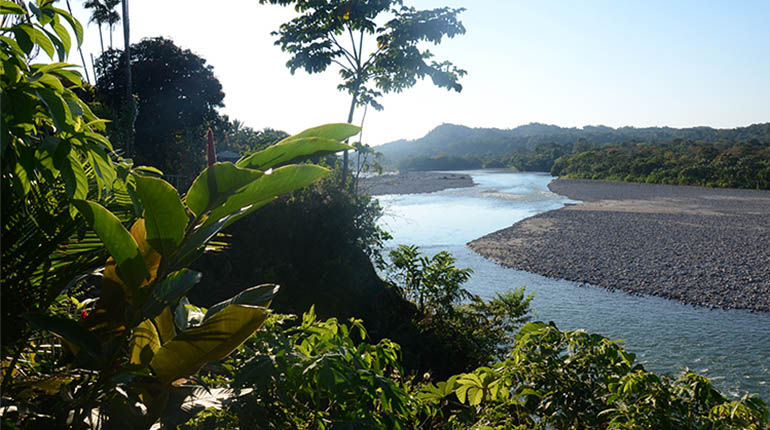 Selva Tropical Cochabamba